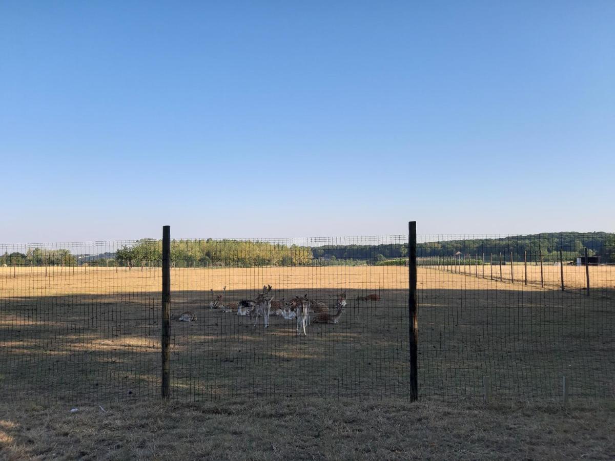 Lemen Huis Houwaart Tielt Exterior foto